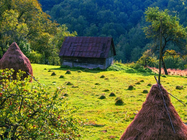 Mituri despre agricultura românească