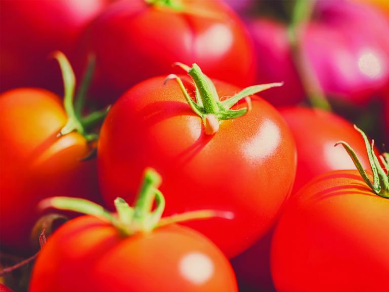 5 Boli Frecvente la Cultura de Roșii