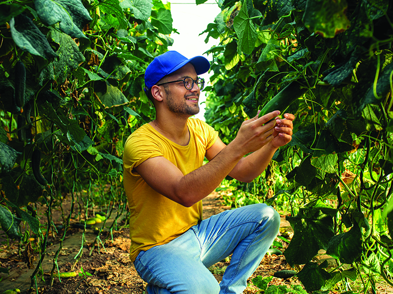 Ghidul complet pentru succesul agricol în România