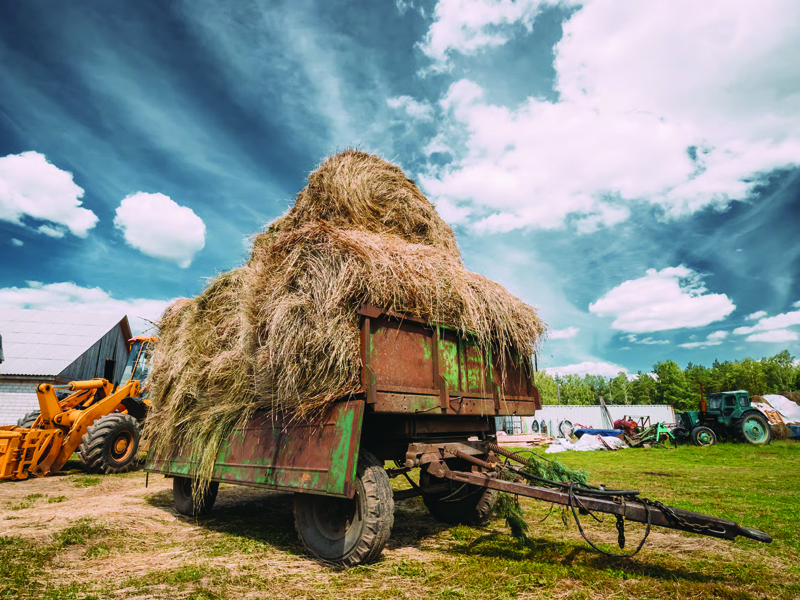 Utilaje agricole second-hand: la ce trebuie să fii atent înainte de achiziție